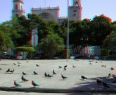 Enlarge photo 10
