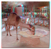 Enlarge photo 25
