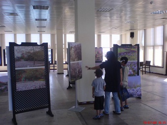 Enlarge photo 15