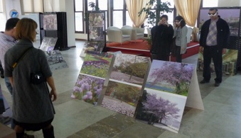 Enlarge photo 4
