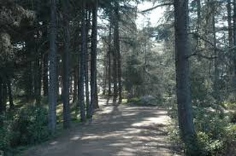 Enlarge photo 2