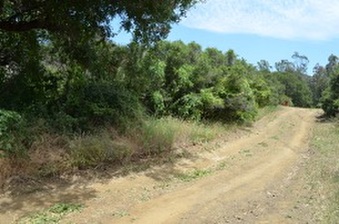 Enlarge photo 22