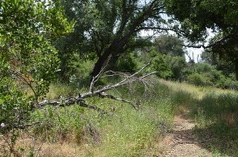 Enlarge photo 24