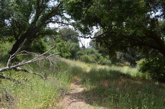 Enlarge photo 25