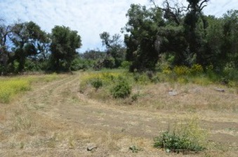 Enlarge photo 30