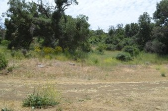 Enlarge photo 31