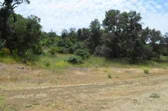 Enlarge photo 32