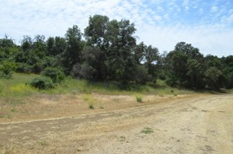 Enlarge photo 33