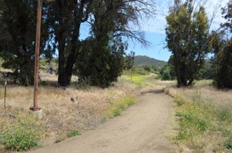 Enlarge photo 40