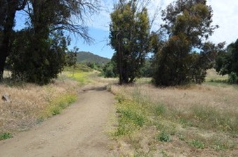 Enlarge photo 41