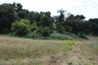 Enlarge photo 42