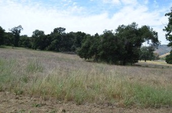 Enlarge photo 44