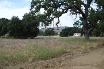 Enlarge photo 46