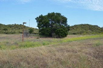 Enlarge photo 47