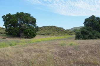 Enlarge photo 48