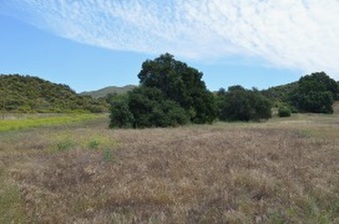 Enlarge photo 49