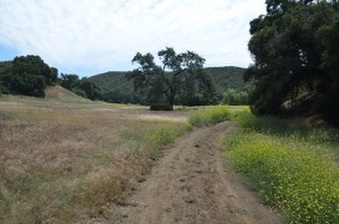 Enlarge photo 52