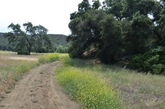 Enlarge photo 53