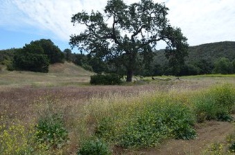 Enlarge photo 55