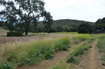 Enlarge photo 56