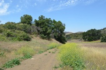 Enlarge photo 58