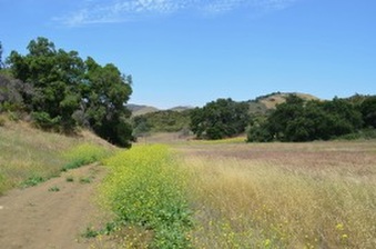 Enlarge photo 59