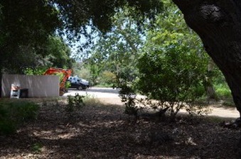 Enlarge photo 74