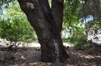 Enlarge photo 75