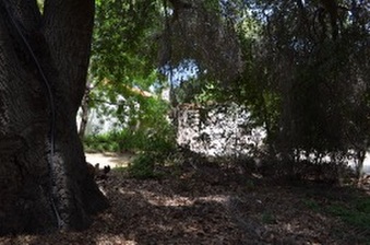 Enlarge photo 76