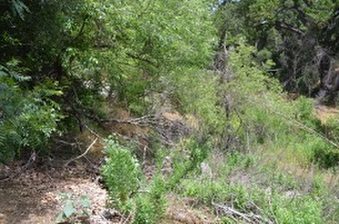 Enlarge photo 81