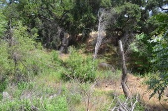 Enlarge photo 82