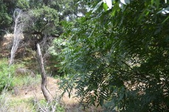 Enlarge photo 83
