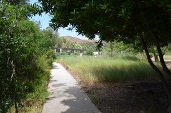 Enlarge photo 98