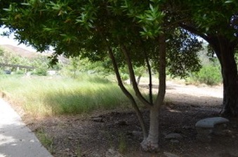 Enlarge photo 99