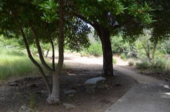 Enlarge photo 100