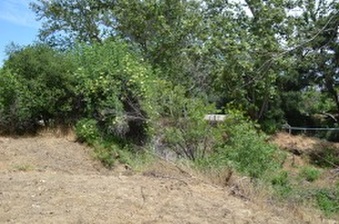 Enlarge photo 102