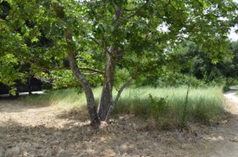 Enlarge photo 104