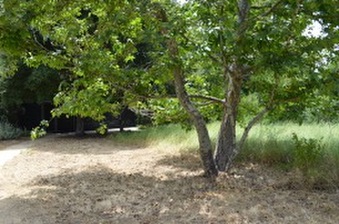 Enlarge photo 105