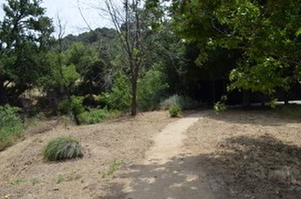 Enlarge photo 107