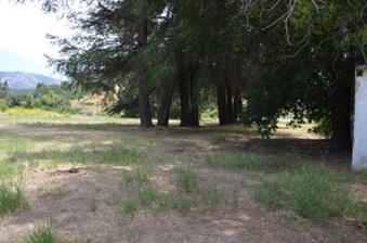 Enlarge photo 118