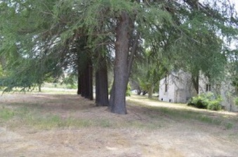 Enlarge photo 119
