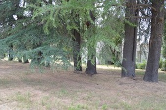Enlarge photo 121