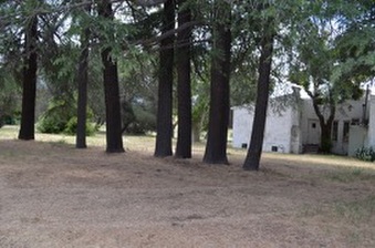 Enlarge photo 122