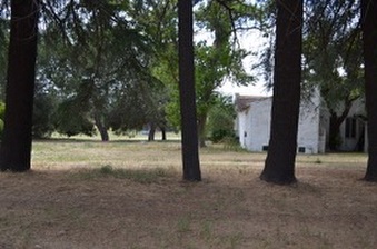 Enlarge photo 124