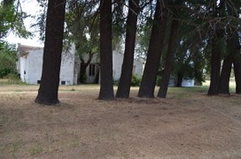 Enlarge photo 126
