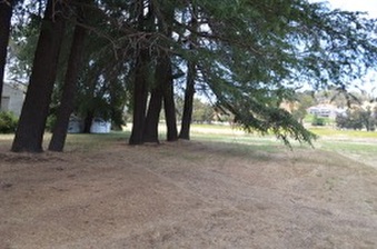 Enlarge photo 128