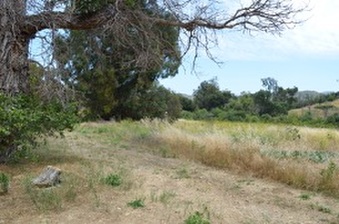 Enlarge photo 137