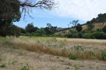 Enlarge photo 138