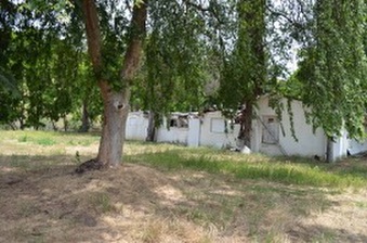 Enlarge photo 149