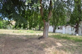 Enlarge photo 150